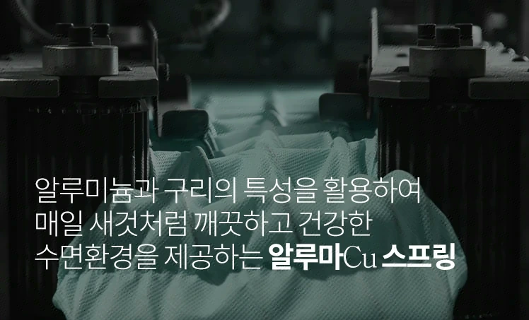 알루마Cu 스프링
