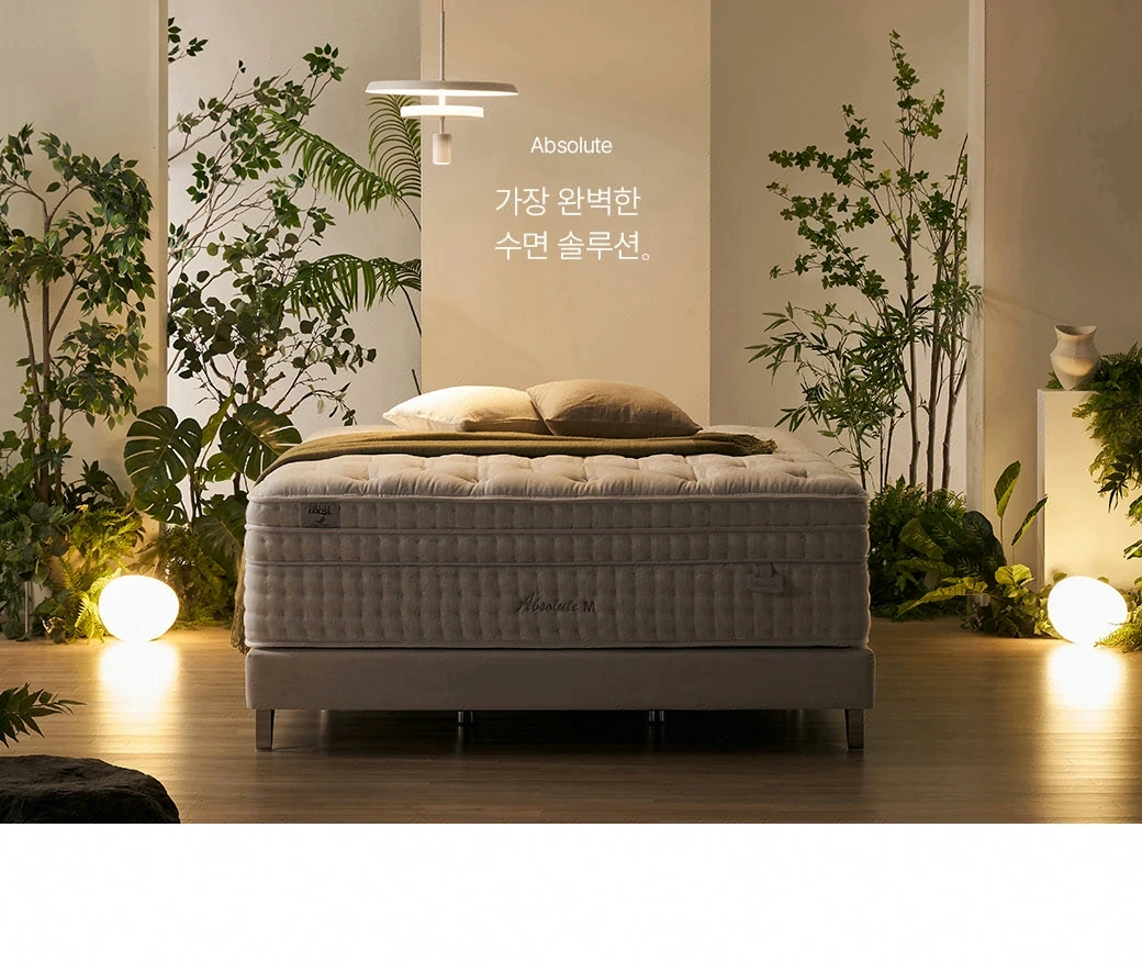 앱솔루트