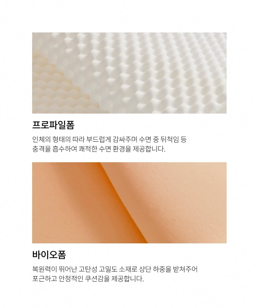 프로파일 폼 & 바이오 폼