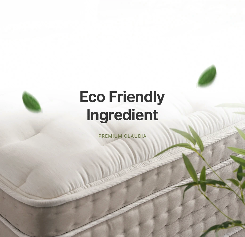 Eco Friendly Ingredient — PREMIUM CLAUDIA