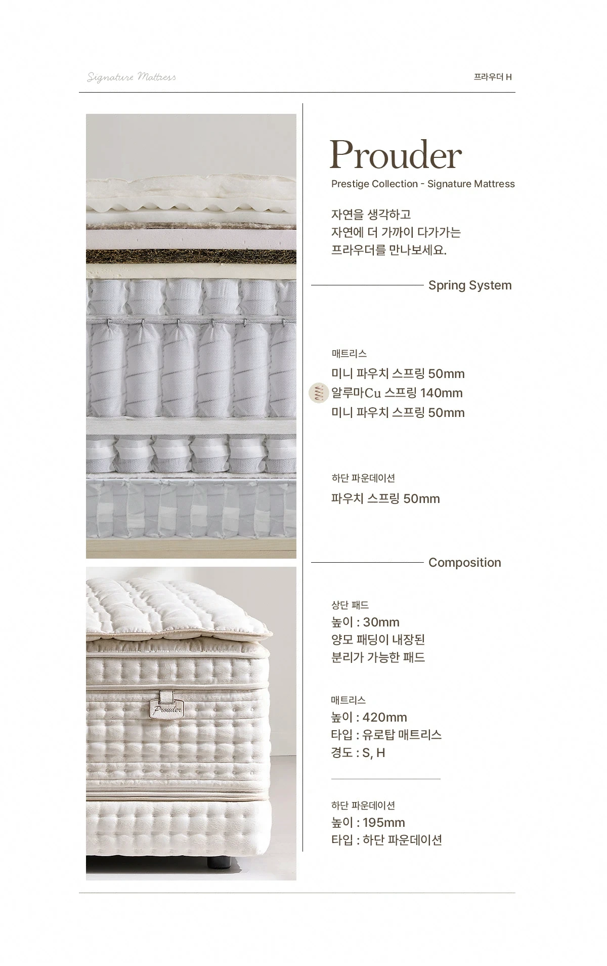 Prestige Collection — Signature Mattress