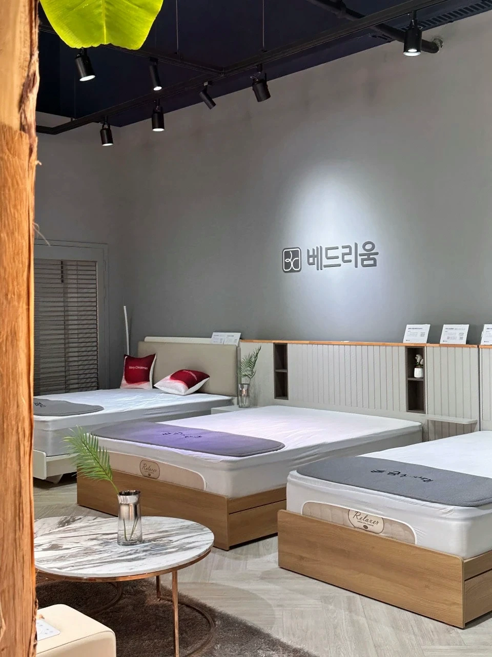 베드리움 전시존